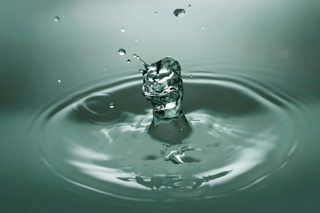 Water circulation system